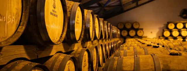 Chai de vieillissement de la Distillerie Bologne, fûts marqués Rhum Bologne